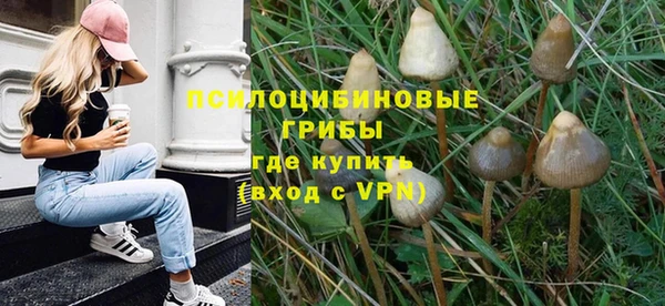 прущий лед Бородино