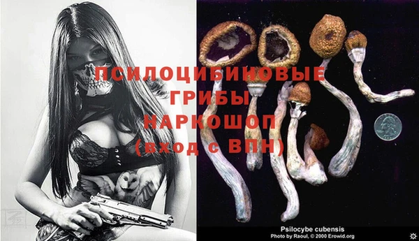 прущий лед Бородино
