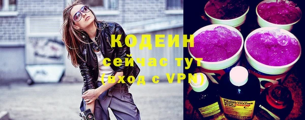 прущий лед Бородино