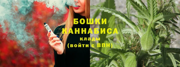 прущий лед Бородино