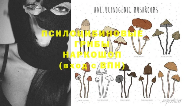 мет Бронницы