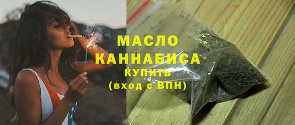 прущий лед Бородино