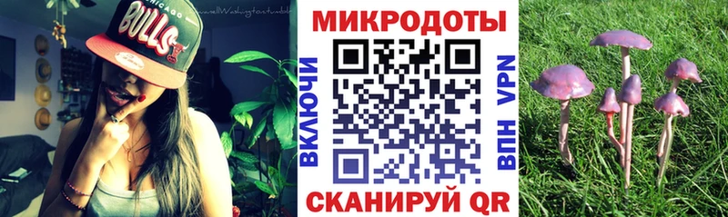 хочу   Комсомольск-на-Амуре  ОМГ ОМГ зеркало  Галлюциногенные грибы мицелий 